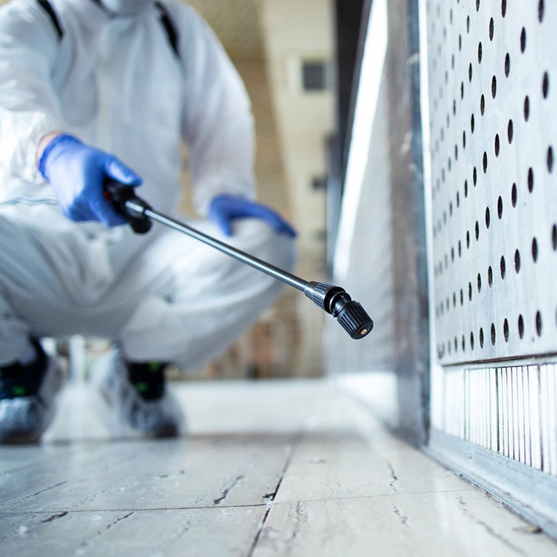 Tuholaistorjunta kiinteistössä